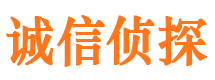 洪山市私家侦探